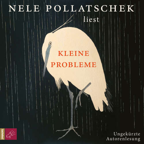 Cover - Nele Pollatschek - Kleine Probleme