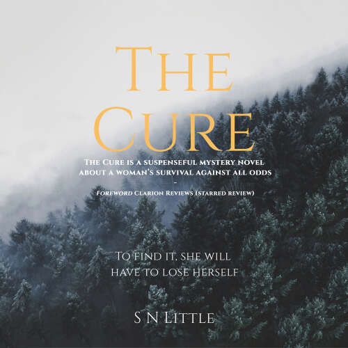 Cover - S N Little - The Cure