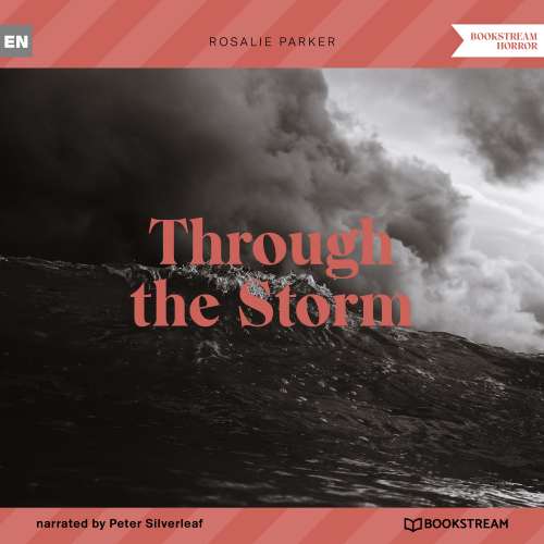 Cover - Rosalie Parker - Through the Storm