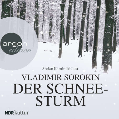 Cover - Vladimir Sorokin - Der Schneesturm