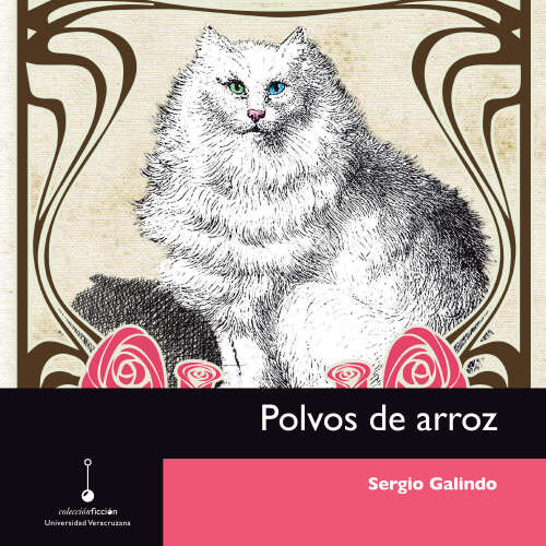 Cover - Sergio Galindo - Polvos de arroz