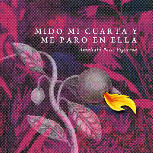 Cover - Amalialú Posso Figueroa - Mido mi cuarta y me paro en ella