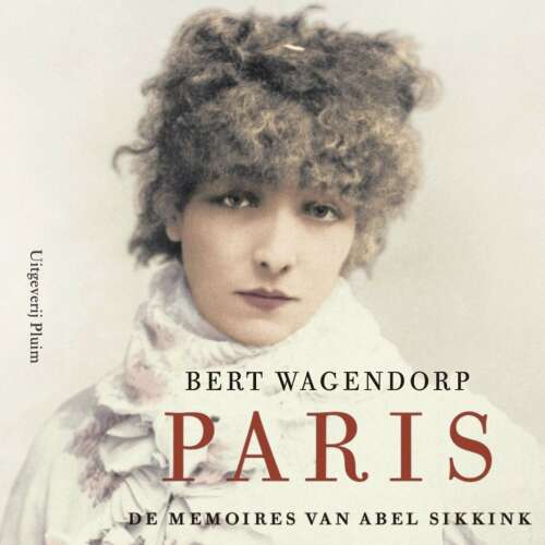 Cover - Bert Wagendorp - De memoires van Abel Sikkink - Deel 3 - Paris