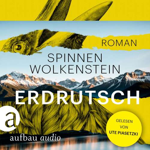 Cover - Burkhard Spinnen - Erdrutsch