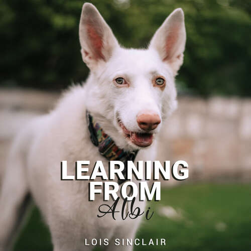 Cover - Lois Sinclair - Learning from Albi