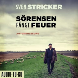 Cover - Sven Stricker - Sörensen ermittelt - Band 2 - Sörensen fängt Feuer