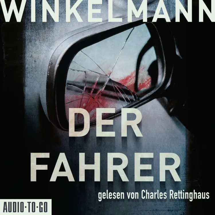 Cover von Andreas Winkelmann - Kerner und Oswald - Band 3 - Der Fahrer