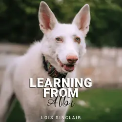 Cover - Lois Sinclair - Learning from Albi
