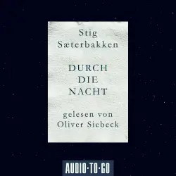 Cover - Stig Saeterbakken - Durch die Nacht