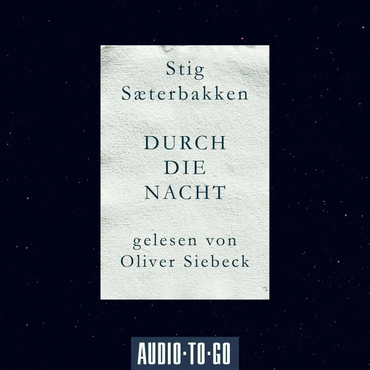 Cover von Stig Saeterbakken - Durch die Nacht