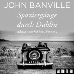 Cover - John Banville - Spaziergänge durch Dublin