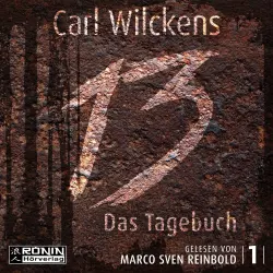 Cover - Das Tagebuch- Dreizehn - 1