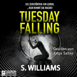 Cover - Stephen Williams - Tuesday Falling