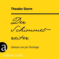 Cover - Theodor Storm - Der Schimmelreiter