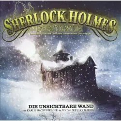 Cover - Markus Winter - Sherlock Holmes Phantastik - Die unsichtbare Wand
