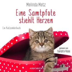 Cover - Melinda Metz - Die Samtpfoten-Serie - Band 2 - Eine Samtpfote stiehlt Herzen