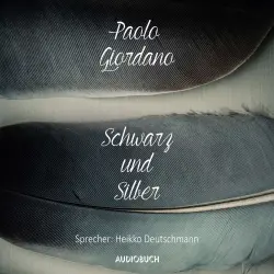 Cover - Paolo Giordano - Schwarz und Silber