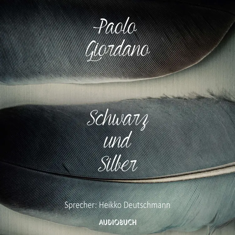 Cover von Paolo Giordano - Schwarz und Silber