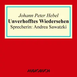 Cover - Johann Peter Hebel - Unverhofftes Wiedersehen
