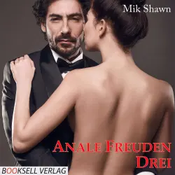 Cover - Mik Shwan - Anale Freuden 3