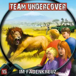 Cover - Markus Topf - Team Undercover - Folge 15 - Im Fadenkreuz