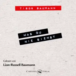 Cover - Tibor Baumann - Was du nie siehst - Ein biografischer Roman mit und über Hansi Mühlbauer