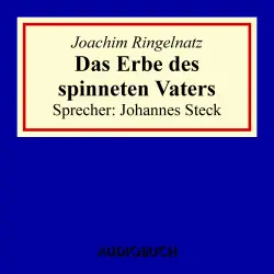 Cover - Joachim Ringelnatz - Das Erbe des spinneten Vaters