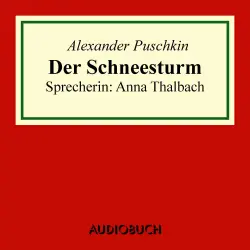 Cover - Alexander Puschkin - Der Schneesturm