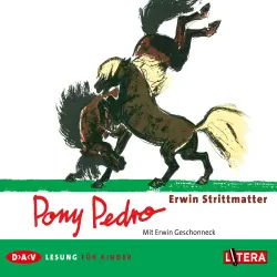 Cover - Erwin Strittmatter - Pony Pedro