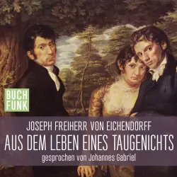 Cover - Joseph Freiherr von Eichendorff - Aus dem Leben eines Taugenichts