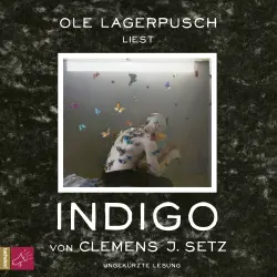 Cover - Clemens J. Setz - Indigo