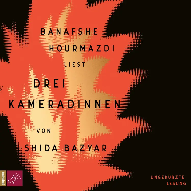 Cover von Shida Bazyar - Drei Kameradinnen