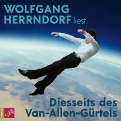 Cover - Wolfgang Herrndorf - Diesseits des Van-Allen-Gürtels