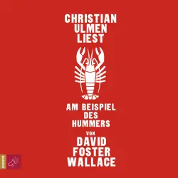 Cover - David Foster Wallace - Am Beispiel des Hummers
