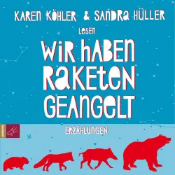 Cover - Karen Köhler - Wir haben Raketen geangelt