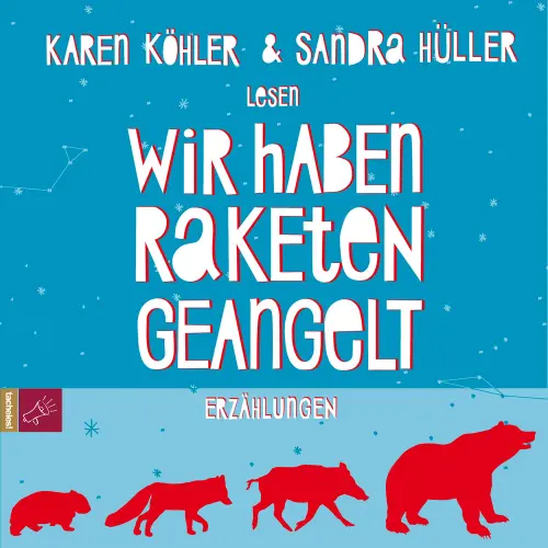 Cover - Karen Köhler - Wir haben Raketen geangelt