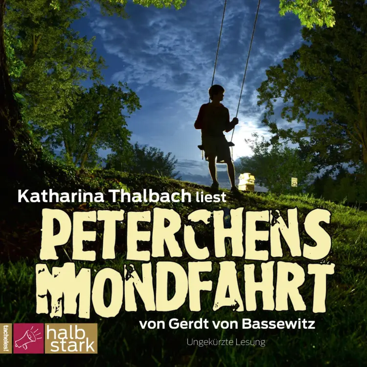 Cover von Gerdt von Bassewitz - Peterchens Mondfahrt