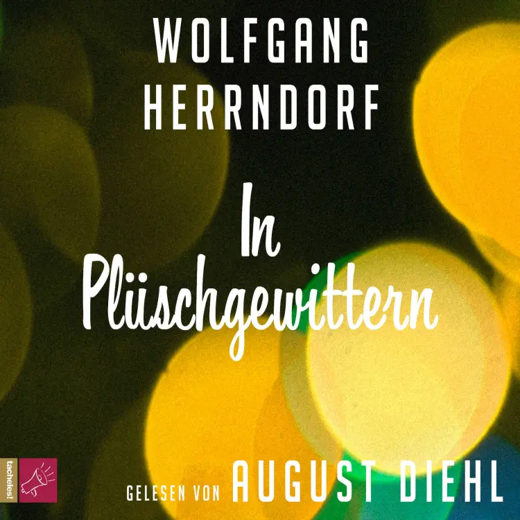 Cover von Wolfgang Herrndorf - In Plüschgewittern