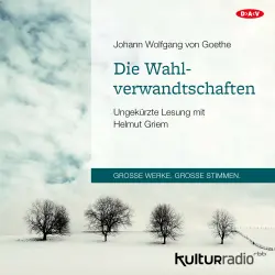 Cover - Johann Wolfgang von Goethe - Die Wahlverwandtschaften