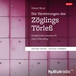 Cover - Robert Musil - Die Verwirrungen des Zöglings Törleß