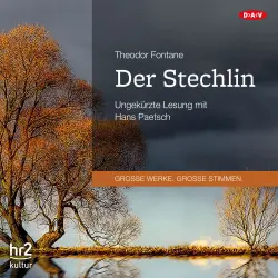 Cover - Theodor Fontane - Der Stechlin