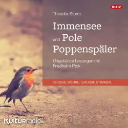 Cover - Theodor Storm - Immensee und Pole Poppenspäler