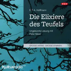 Cover - E.T.A. Hoffmann - Die Elixiere des Teufels