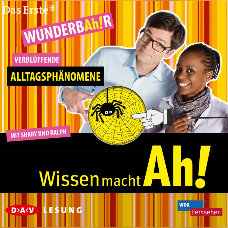Cover von Diverse - Wissen macht Ah! - Verblüffende Alltagsphänomene