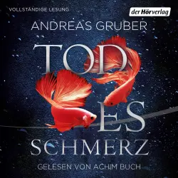 Cover - Andreas Gruber - Maarten S. Sneijder und Sabine Nemez - Band 6 - Todesschmerz