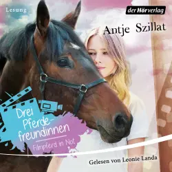 Cover - Antje Szillat - Drei Pferdefreundinnen 1 - Filmpferd in Not