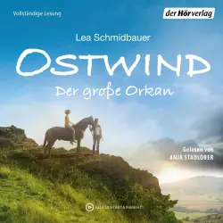 Cover - Lea Schmidbauer -  Die Ostwind-Reihe 6 - Der große Orkan