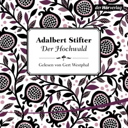 Cover - Adalbert Stifter - Der Hochwald