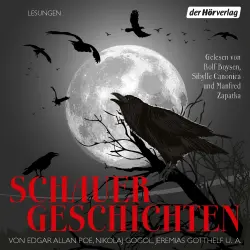 Cover - Edgar Allan Poe - Schauergeschichten