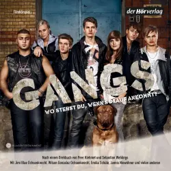 Cover - Sebastian Wehlings - Gangs - Das Hörspiel zum Film